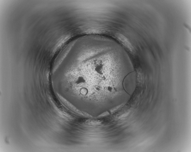 X0000097770491200803211740