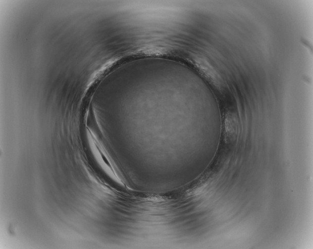 X0000097770492200803211740