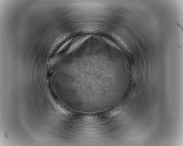 X0000097770494200803211740