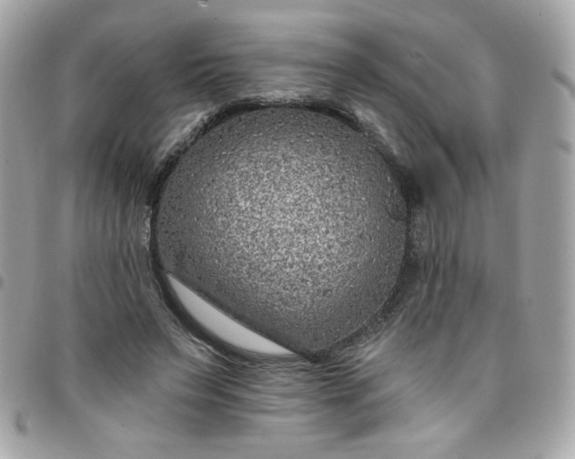 X0000097770495200803211740