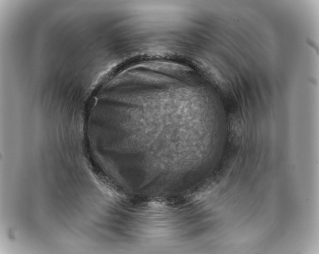 X0000097770496200803211740