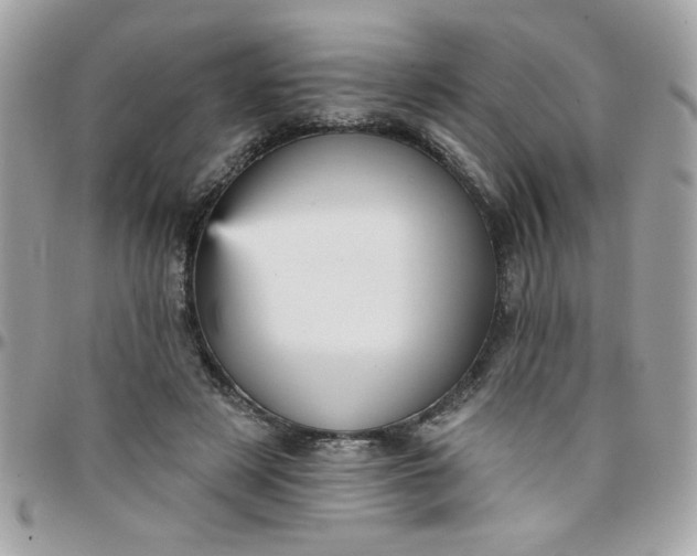 X0000097770497200803211740