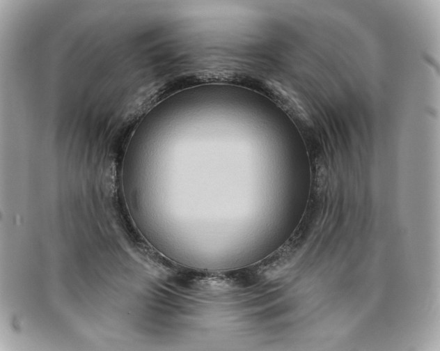 X0000097770498200803211740