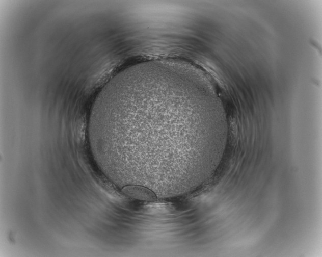 X0000097770499200803211740