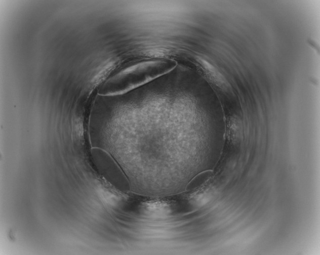 X0000097770500200803211740