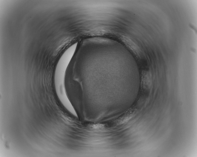 X0000097770501200803211740