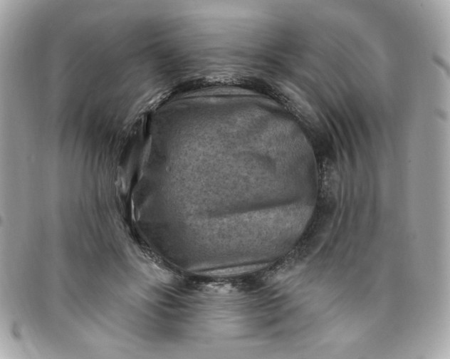 X0000097770502200803211740