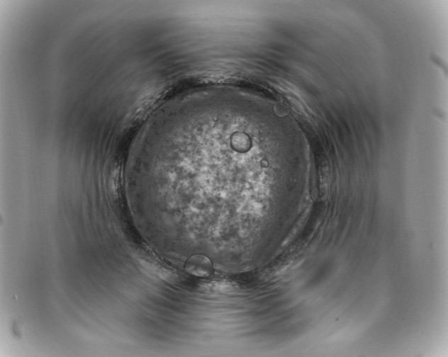 X0000097770503200803211740