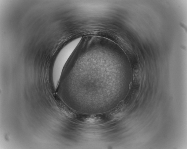 X0000097770504200803211740