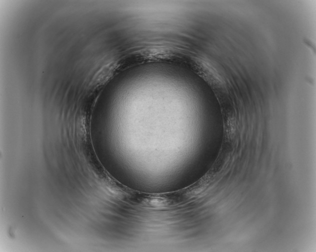 X0000097770506200803211740