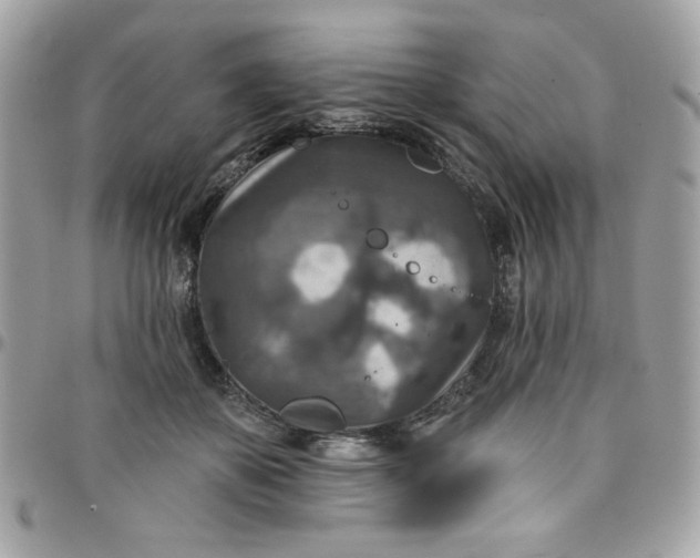 X0000097770507200803211740