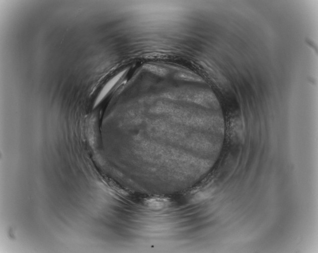 X0000097770508200803211740