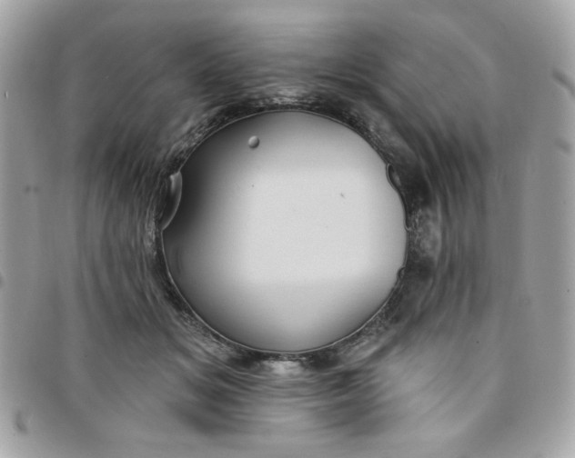 X0000097770509200803211739