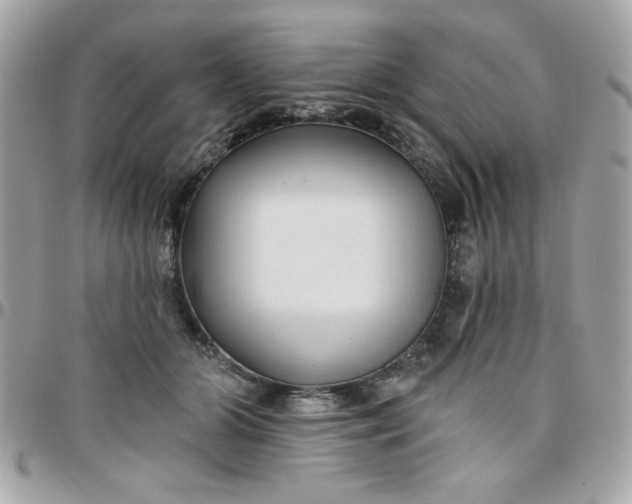 X0000097770510200803211739