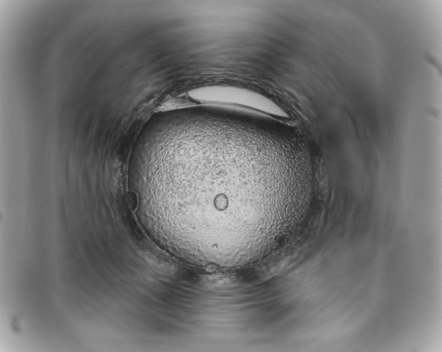 X0000097770511200803211739