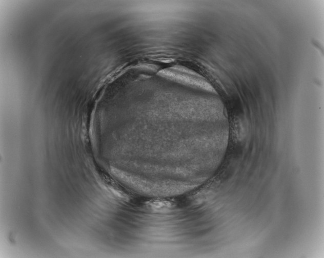 X0000097770512200803211739