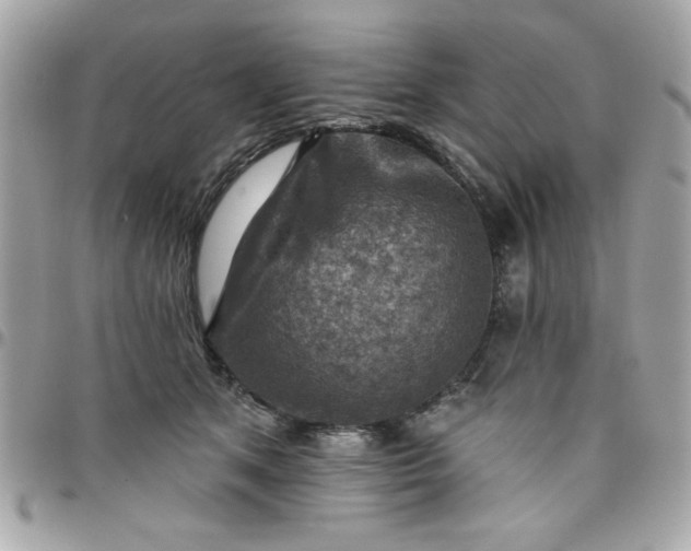 X0000097770513200803211739