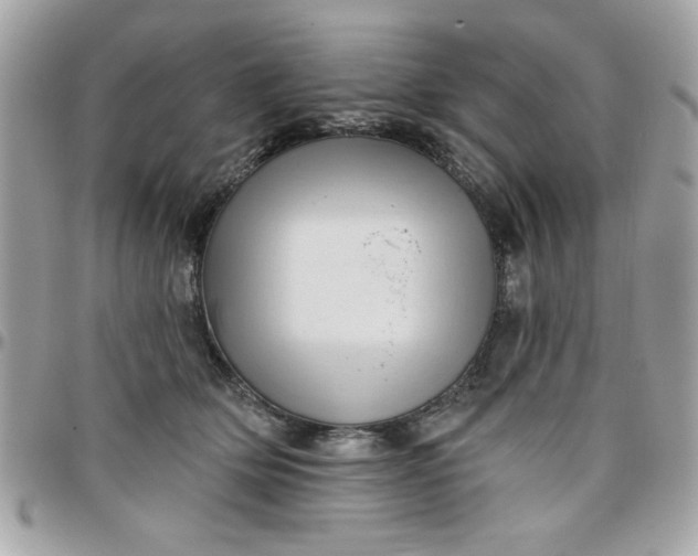 X0000097770514200803211739