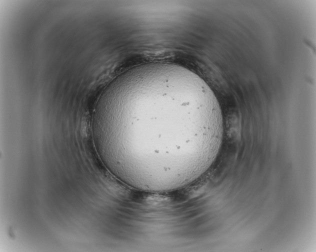 X0000097770515200803211739