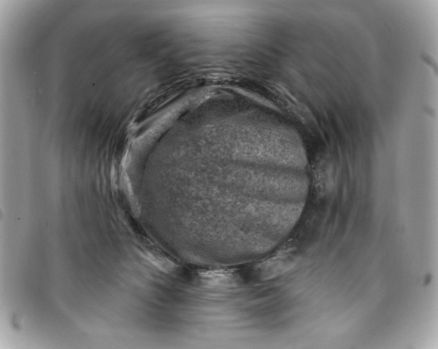 X0000097770516200803211739