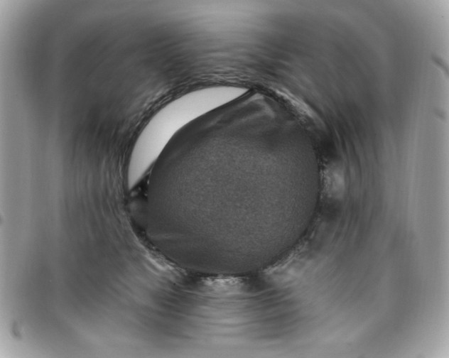 X0000097770517200803211739