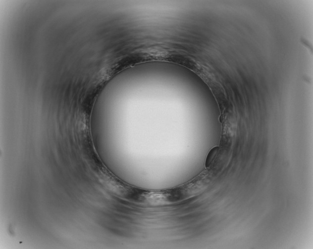 X0000097770518200803211739