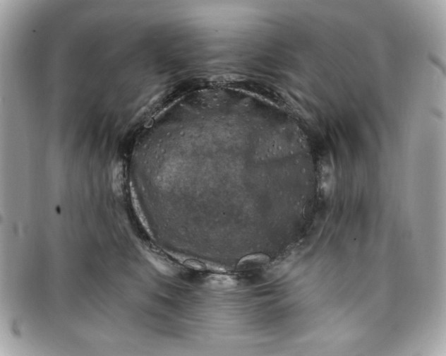 X0000097770519200803211739