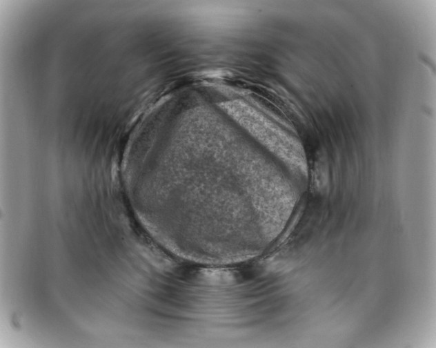 X0000097770520200803211739