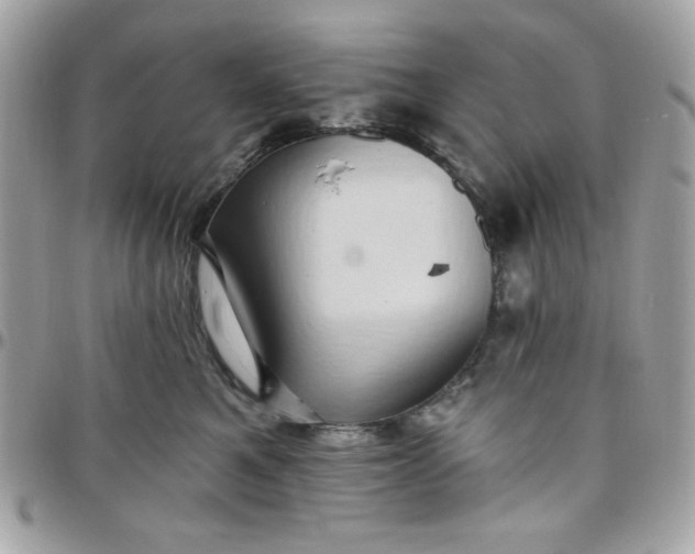 X0000097770521200803211739