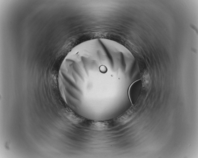 X0000097770522200803211739