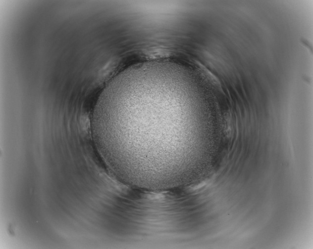 X0000097770523200803211739