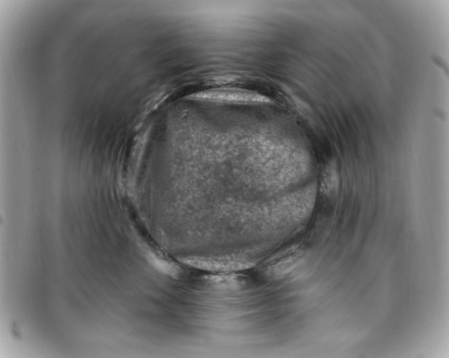 X0000097770524200803211739