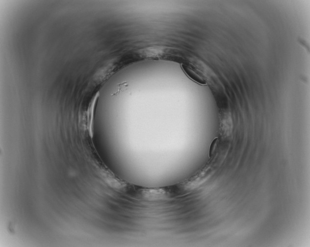 X0000097770525200803211739