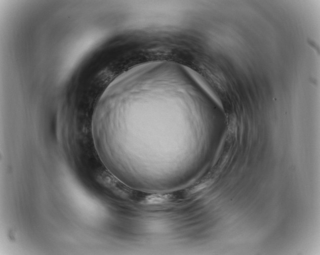 X0000097770526200803211739