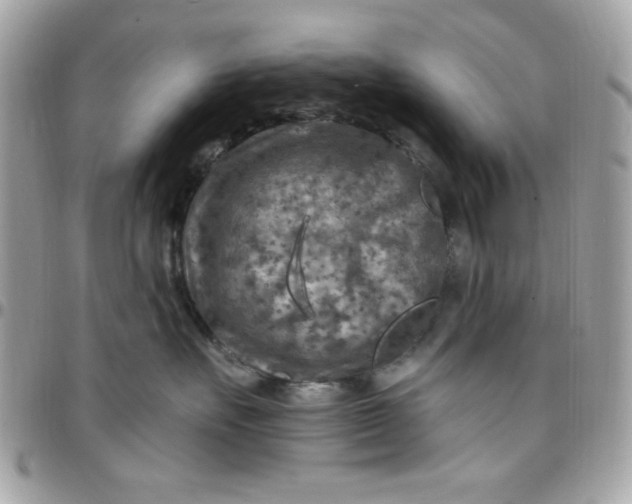 X0000097770527200803211739