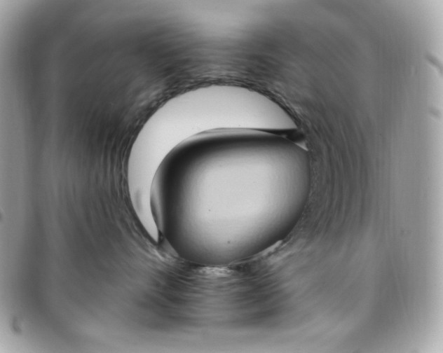 X0000097770528200803211739