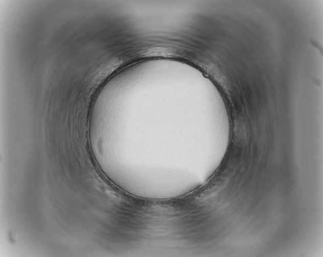 X0000097770529200803211738