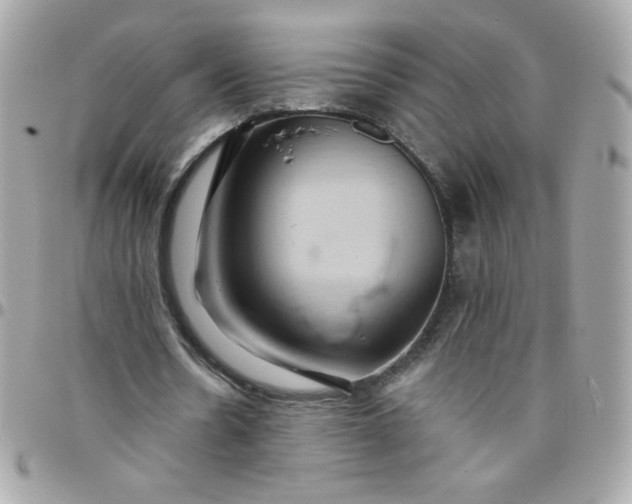 X0000097770530200803211738