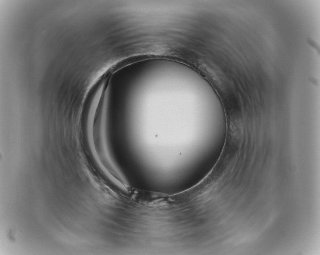 X0000097770532200803211738