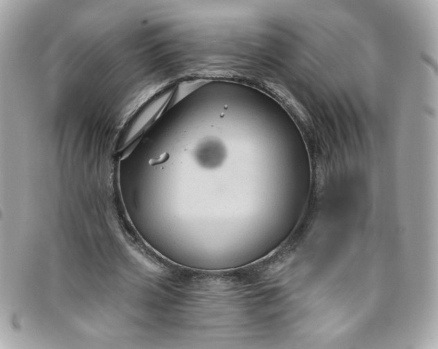 X0000097770533200803211738