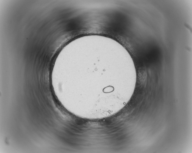 X0000097770534200803211738