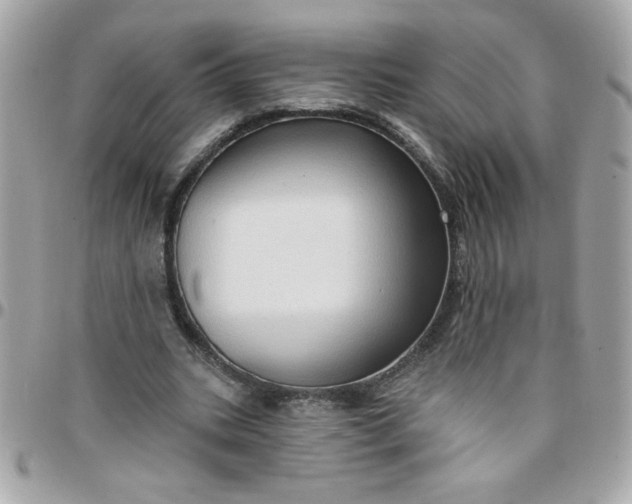 X0000097770535200803211738