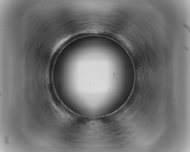 X0000097770536200803211739