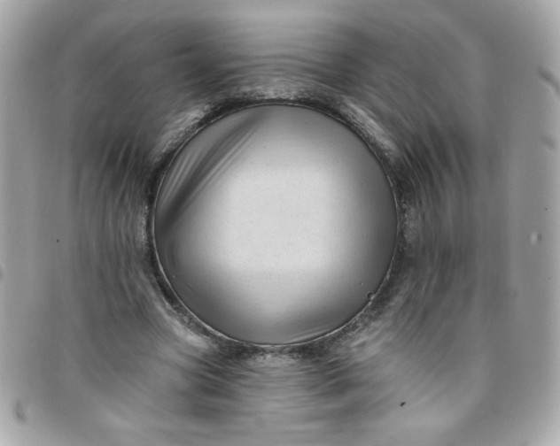 X0000097770537200803211739