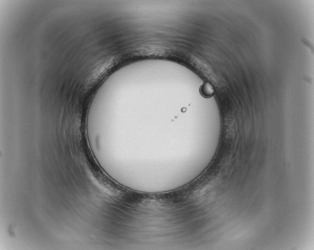 X0000097770538200803211739