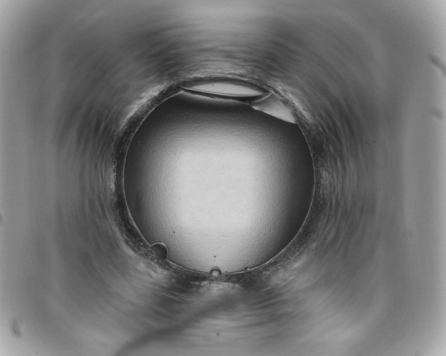 X0000097770539200803211739