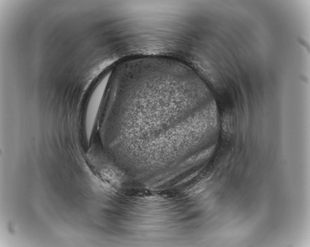 X0000097770540200803211739