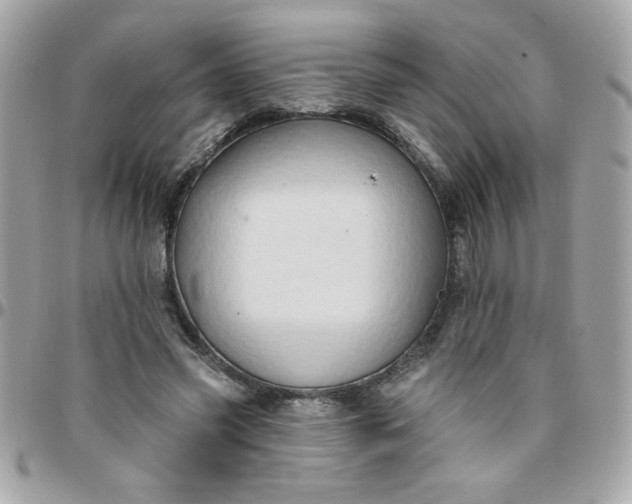 X0000097770541200803211739