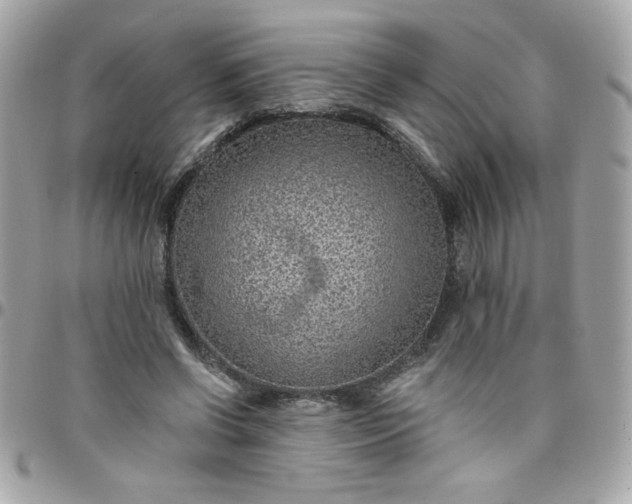 X0000097770542200803211739