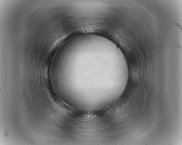 X0000097770543200803211739